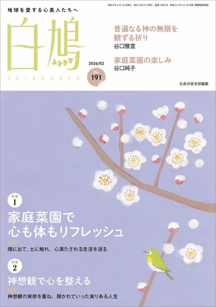 白鳩 No.191 (発売日2026年01月20日) 表紙