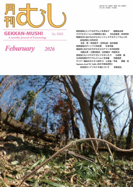 月刊むし 660 (発売日2026年01月22日) 表紙