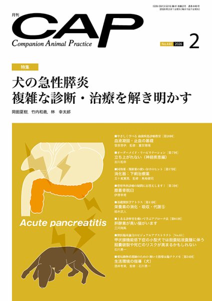 月刊CAP 2026年2月号 (発売日2026年02月01日) 表紙