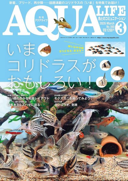 アクアライフ 3月号 (発売日2026年02月10日) 表紙