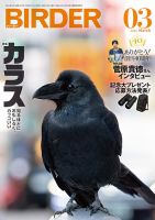 BIRDER (バ ーダ ー) 2006年02月号 雑誌 - BIRDER.jp (Page 4)