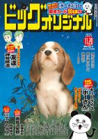 ビッグコミックオリジナル 2025年11/20号 (発売日2025年11月05日) 表紙