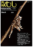 月刊むし 661の表紙