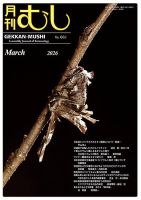 月刊むしの最新号【661 (発売日2026年02月19日)】| 雑誌/定期購読の