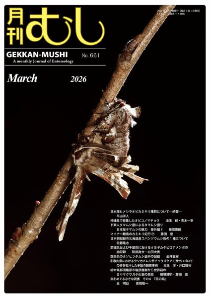 月刊むし 661 (発売日2026年02月19日) 表紙