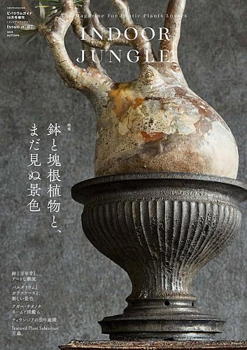 INDOOR JUNGLEの最新号【No.07 (発売日2025年09月09日)】| 雑誌/定期