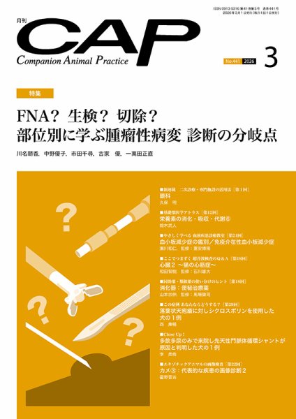月刊CAP 2026年3月号 (発売日2026年03月01日) 表紙