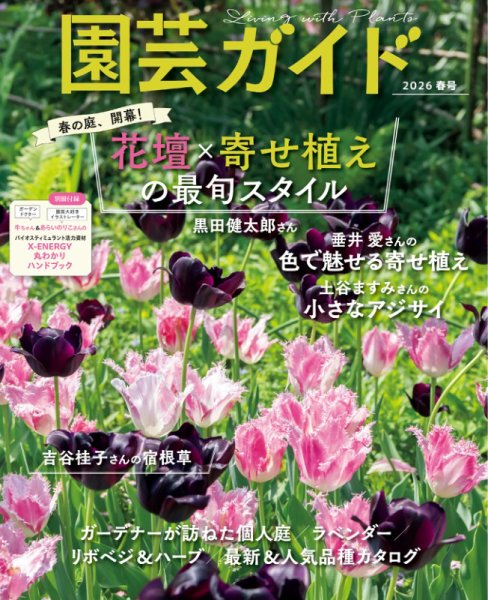 園芸ガイド　2001年　2002年　隔月発行　12冊まとめて 園芸ガイド - 株式会社 主婦の友社 主婦の友社の本