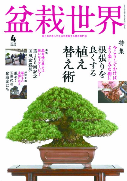 盆栽世界 2026年4月号 (発売日2026年03月04日) 表紙