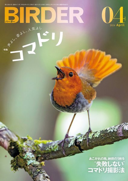 BIRDER（バーダー） 2026年4月号 (発売日2026年03月16日) 表紙