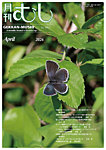 月刊むし 662の表紙