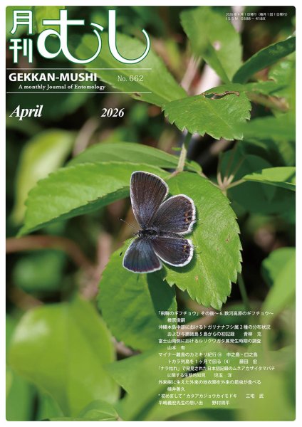 月刊むし 662 (発売日2026年03月19日) 表紙