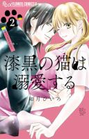 漆黒の猫は溺愛する 2巻 表紙