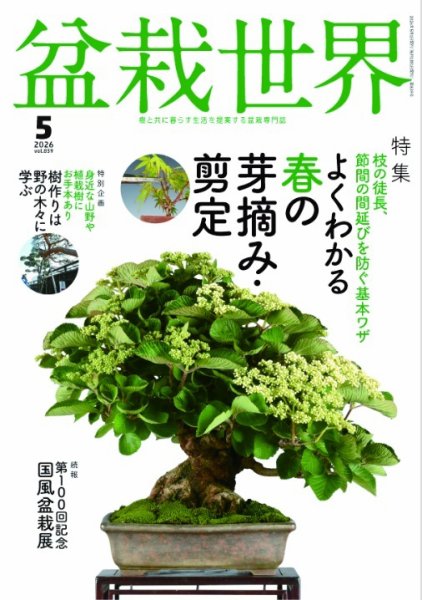 盆栽世界 2026年5月号 (発売日2026年04月06日) 表紙