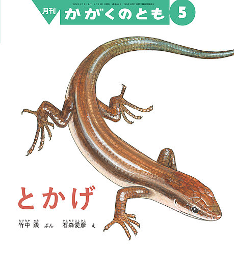 根付け　トカゲ 蜥蜴　爬虫類　竹 かがくのとも 2026年5月号 (発売日2026年04月03日) | 雑誌/定期購読の