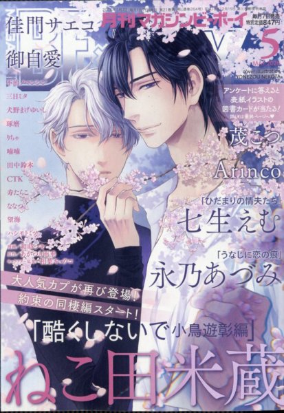 マガジンマガジン　ボーイズピアス　2004年11月号　BL マガジンマガジンボーイズピアス2004年11月号BL (尾臣野有) 竹橋の