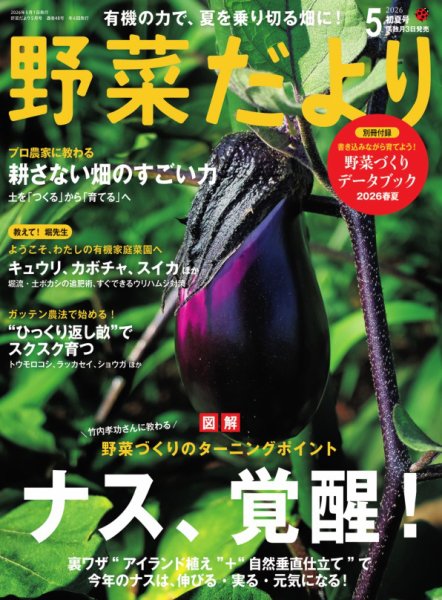 野菜だよりの最新号【2026年5月号 (発売日2026年04月03日)】| 雑誌