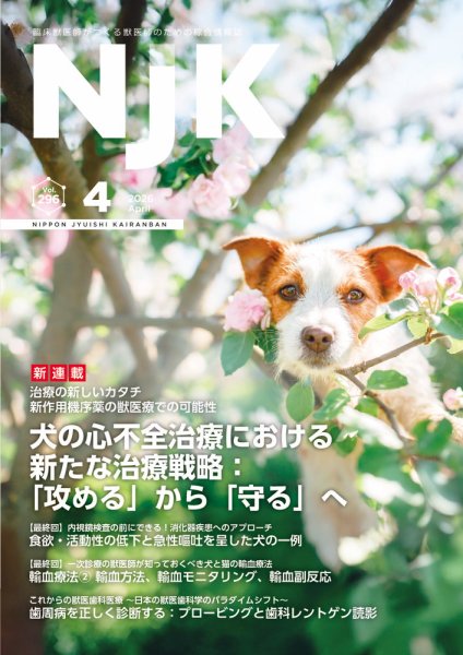 NJK Vol.296 (発売日2026年04月01日) 表紙