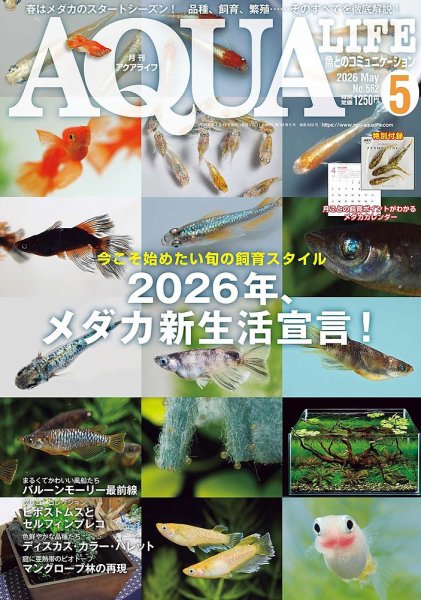 アクアマガジン　　37冊 アクアライフ 11月号 (発売日2023年10月11日) | 雑誌/電子書籍/定期