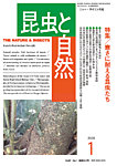 昆虫と自然 2026年1月号の表紙