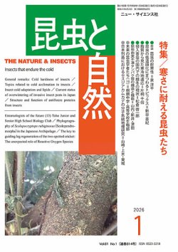 生地見本　昆虫を集めました No way] I made a stag beetle specimen using a 100 yen specimen kit