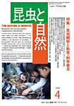 昆虫と自然 2026年4月号の表紙