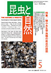 昆虫と自然 2026年5月号の表紙