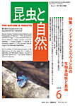 昆虫と自然 2026年6月号の表紙