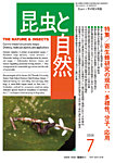 昆虫と自然 2026年7月号の表紙