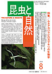 昆虫と自然 2026年8月号の表紙