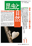 昆虫と自然の表紙