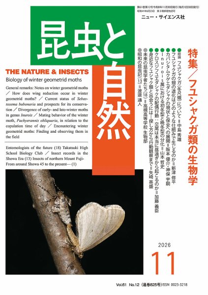 昆虫と自然 2026年11月号 (発売日2026年10月22日) 表紙