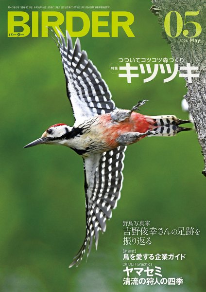 BIRDER（バーダー）の最新号【2026年5月号 (発売日2026年04月16日
