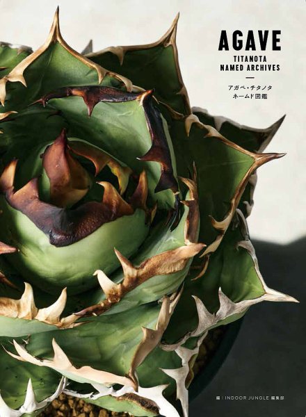 アガベ　チタノタUS輸入株 アガベ・チタノタ ネームド図鑑 2025年10月24日発売号 | 雑誌/定期購読