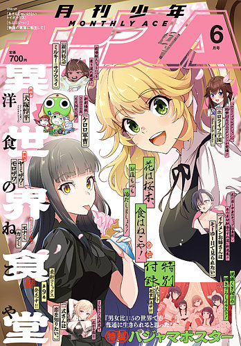 漫画セット(少年、青年コミック) 廉価版※【20枚入り】青年コミック(B6)サイズ約20冊用☆スプラータ