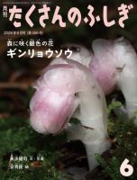 たくさんのふしぎの最新号【2026年6月号 (発売日2026年05月01日