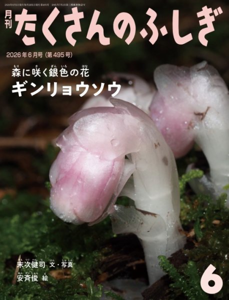 たくさんのふしぎの最新号【2026年6月号 (発売日2026年05月01日
