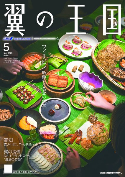 翼の王国・TSUBASA －GLOBAL WINGS－｜定期購読8%OFF