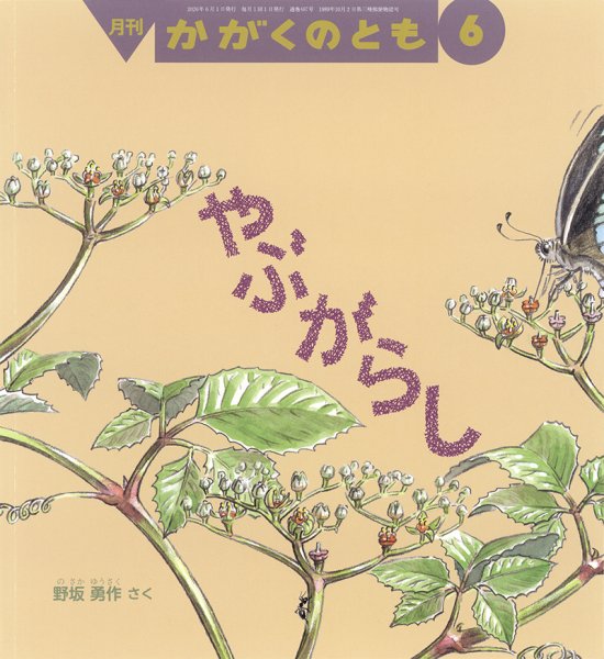 【美品】たのしいかがく　9冊セット　福音館書店　希少本 美品】たのしいかがく 9冊セット 福音館書店 希少本