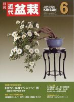 メギの木（かなり年数持ち込み古い）（近代盆栽の表紙に掲載された木） 月刊 近代盆栽の最新号【2026年6月号 (発売日2026年05月01日)】| 雑誌