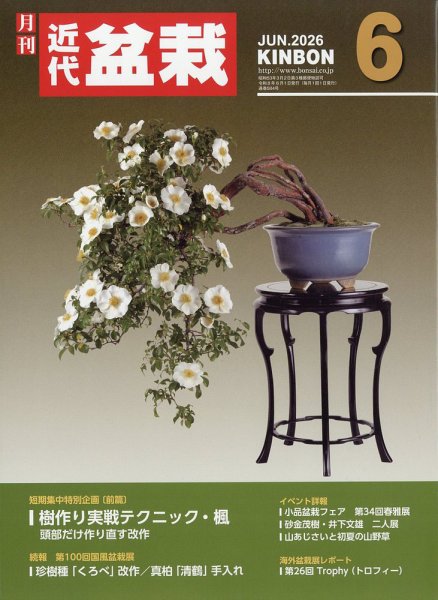月刊 近代盆栽の最新号【2026年6月号 (発売日2026年05月01日)】| 雑誌