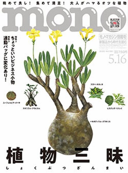 【美品】モノマガジン　1984.11〜1985.3まで5冊セット モノ・マガジン 1989年 | 雑誌バックナンバー販売 アートブルー [art-blue]