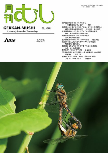 月刊むし 664 (発売日2026年05月22日) 表紙
