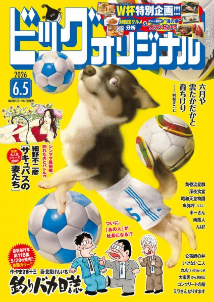 ビッグコミックオリジナル 2026年6/5号 (発売日2026年05月20日) 表紙