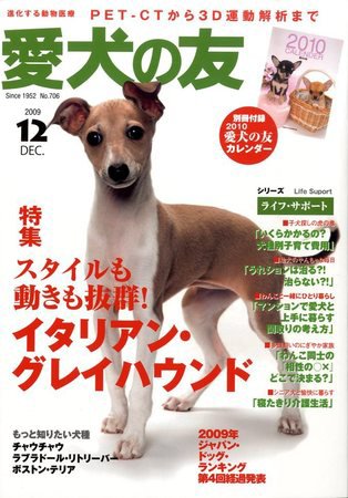 愛犬の友 12月号 (発売日2009年11月25日) 表紙