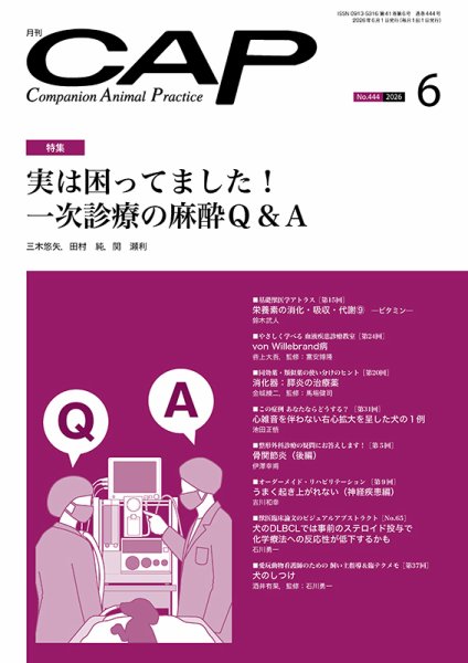 月刊CAP 2026年6月号 (発売日2026年06月01日) 表紙