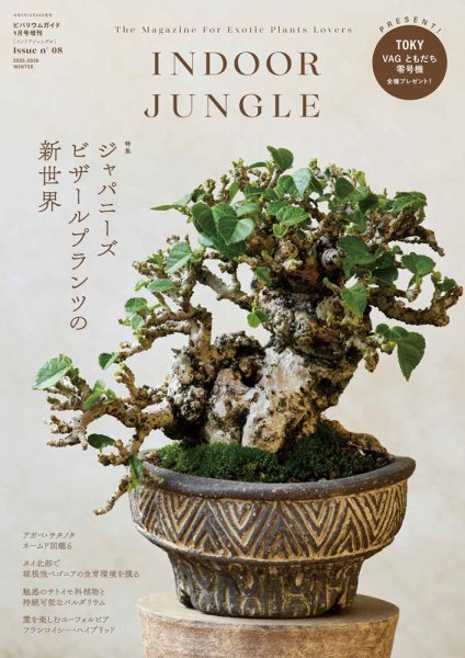 INDOOR JUNGLE No.08 (発売日2025年12月24日) 表紙