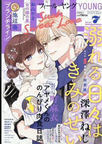 フィールヤング 2026年7月号 (発売日2026年06月08日) 表紙