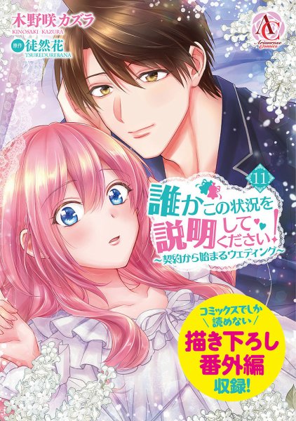 誰かこの状況を説明してください！ ～契約から始まるウェディング～ 11