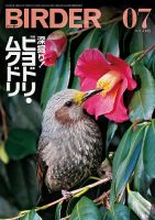 BIRDER（バーダー） 2026年7月号 表紙